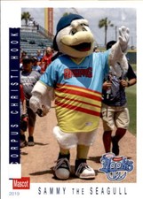 2019 Corpus Christi Hooks Grandstand #35 Sammy the Seagull MASCOT Baseball Card