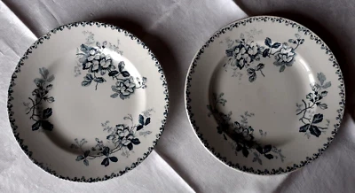 2 assiettes à dessert en faïence de St Amand Hamage Acacia 22,3 cm - Photo 1/4