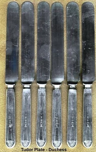 Placa Tudor Duquesa Plateado 6 piezas. - Imagen 1 de 1