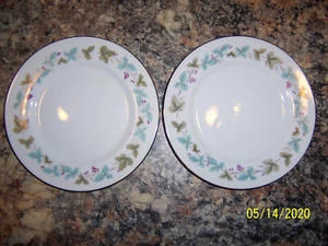 2 BROT BUTTER Teller Vintage Fine China MSI 6701 Weinreben Blätter NEU ZUSTAND - Bild 1 von 2