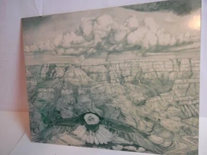 Don Organ Graphite Pencil Print Limited to 50 Eagle Rising Donald 20X16 - Picture 1 of 6