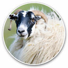 2 x Vinyl Stickers 10cm - Scottish Blackface Sheep Cool Gift #12675