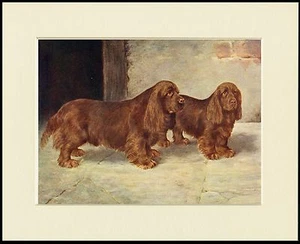SUSSEX SPANIEL HUNDE SCHÖNER HUNDEDRUCK RAHMENFERTIG MONTIERT - Bild 1 von 1