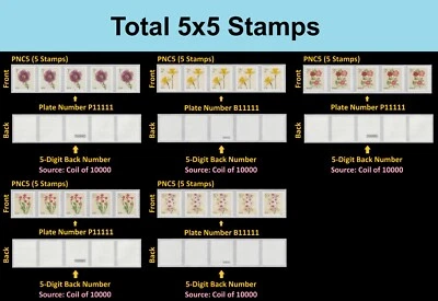 US 5902-5906 Flowers #on# PNC5 5d back # set 5 MNH 2024 - Image 1 of 4