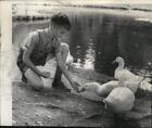 1962 Press Photo David Coombs with Ducks at Manito Park - spa30644