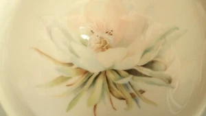 ASSIETTE ANCIENNE MANUFACTURE ROYALE . LIMOGES FRANCE. Décor : Rose Des Neiges - Picture 1 of 4