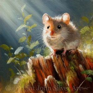 CUTE MOUSE ORIGINAL WILDLIFE FINE ART PAINTING 10" x 10" by JOHN SILVER BA - Picture 1 of 5