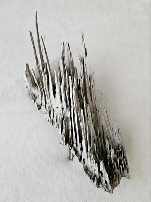 Natural Driftwood Piece for Art, Aquarium, Display, Terrarium - Decor - Image 1 of 4