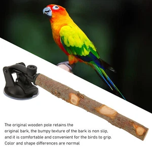 Wood Birds Perch Prevent Slip Interactive Bird Window Perch Stand with Suction - Picture 1 of 21