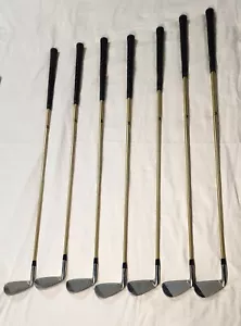 1 HIPPO Ladies Stainless Sand, Putter, 9, 8, 7, 4, 3~Graphite Shaft ~John Daly - Picture 1 of 15