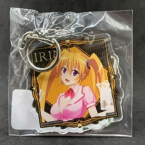 High School DxD Hero IRINA SHIDO Dress Acrylic Keychain Key Holder Ring Anime - Imagen 1 de 4