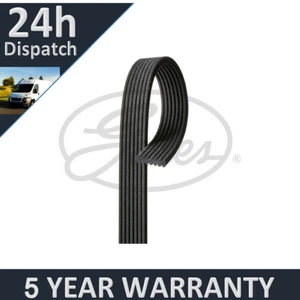 Gates V-Ribbed Belts Fits Porsche Cayenne Panamera 5 Year Warranty G3688 - Picture 1 of 7