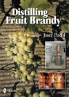 Distilling Fruit Brandy by Pischl, Josef