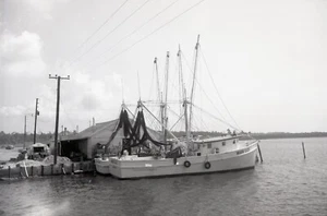 Garnelen/Fischerboote - MISS LUE - Vintage Schiffsnegativ - Bild 1 von 2