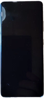 Samsung Galaxy S21 Ultra SM-G998B/DS - 128GB - Phantom Silver (Ohne Simlock)... - Bild 1 von 4