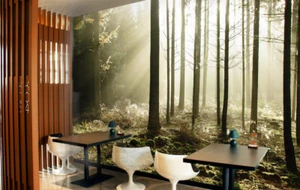 3D Quiet Forest G5522 Wallpaper Wall Murals Removable Self-adhesive Erin - Picture 1 of 11