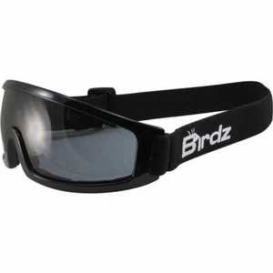 Birdz Robin Sport Skydiving Snowboarding Motorcycle Riding Goggles Smoke Lens - Picture 1 of 4