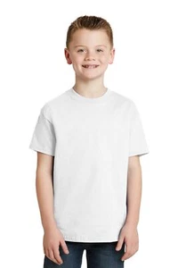 Hanes Youth 5450 Authentic 6oz 100% Heavy Cotton Plain Blank T-Shirt Tee - Picture 1 of 16
