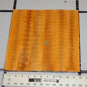 10 = 12X12 Original hellbraune Schlangenhaut Versteck Gelenke Leder M63NMJ - Bild 1 von 12