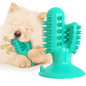 Dog Chew Toy Cactus Tooth Cleaning Stick For Teething and Chewing - Picture 1 of 6