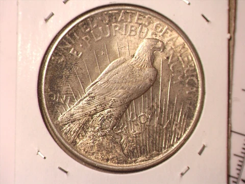 1925-P Peace Silver Dollar #118 30% Rotated Reverse Error - Choice Uncirculated Cover