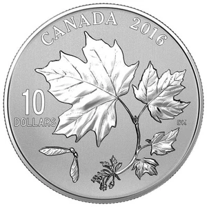 2016 $10 Canadian Maple Leaves - Pure Silver Coin - Picture 1 of 6