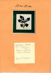 Sara Madson Applique Block Kit, Blue Bells 6 x 6 - Pattern & Materials Kit - New - Picture 1 of 1