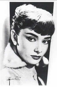 Postal: Actriz Audrey Hepburn - Imagen 1 de 1