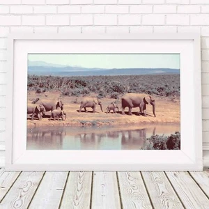 AFRICA SEPIA - Elephant Herd Poster Picture Print Sizes A5 to A0 **FREE DELIVERY - Picture 1 of 14
