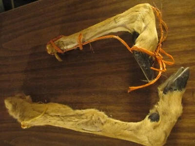 (2) DERRAMAMIENTO DE HUESOS DE PATAS DE CIERVO ~ TAXIDERMIA ~ ENCONTRADO CON PIEZAS NATIVAS AMERICANAS Foto 1 de 2