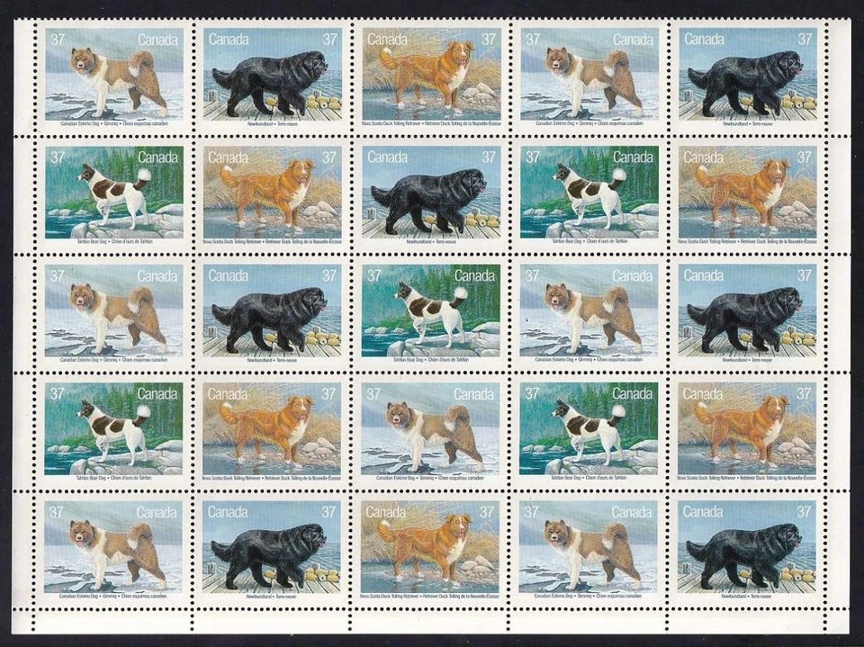 Canada 1988 Dogs, MNH bottom field stock half sheet of 25, sc#1220a - Image 1 of 1