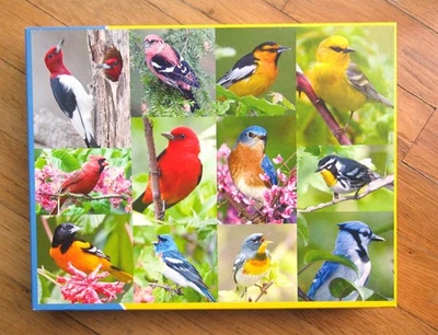 Springbok 500 Piece Puzzle Birds of a Feather 18"x23.5" - Image 1 of 2