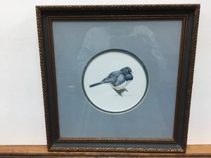 David Plank Junco Bird Original Watercolor 1980 Art Painting Framed - Picture 1 of 3
