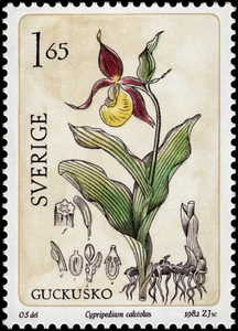 Sweden #Mi1206 MNH 1982 Cypripedium calceolus slipper Orchid [1419d YT1188] - Picture 1 of 1