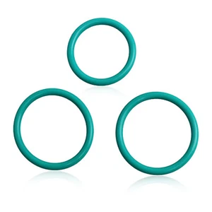 Engine Radiator Hose T-Pipe Coolant Leak O-Rings Seal Set for Ford 926-168 - Foto 1 di 7