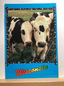 Holsteins Cows Hamming it Up for the Camera: Vintage Postcard - Picture 1 of 3