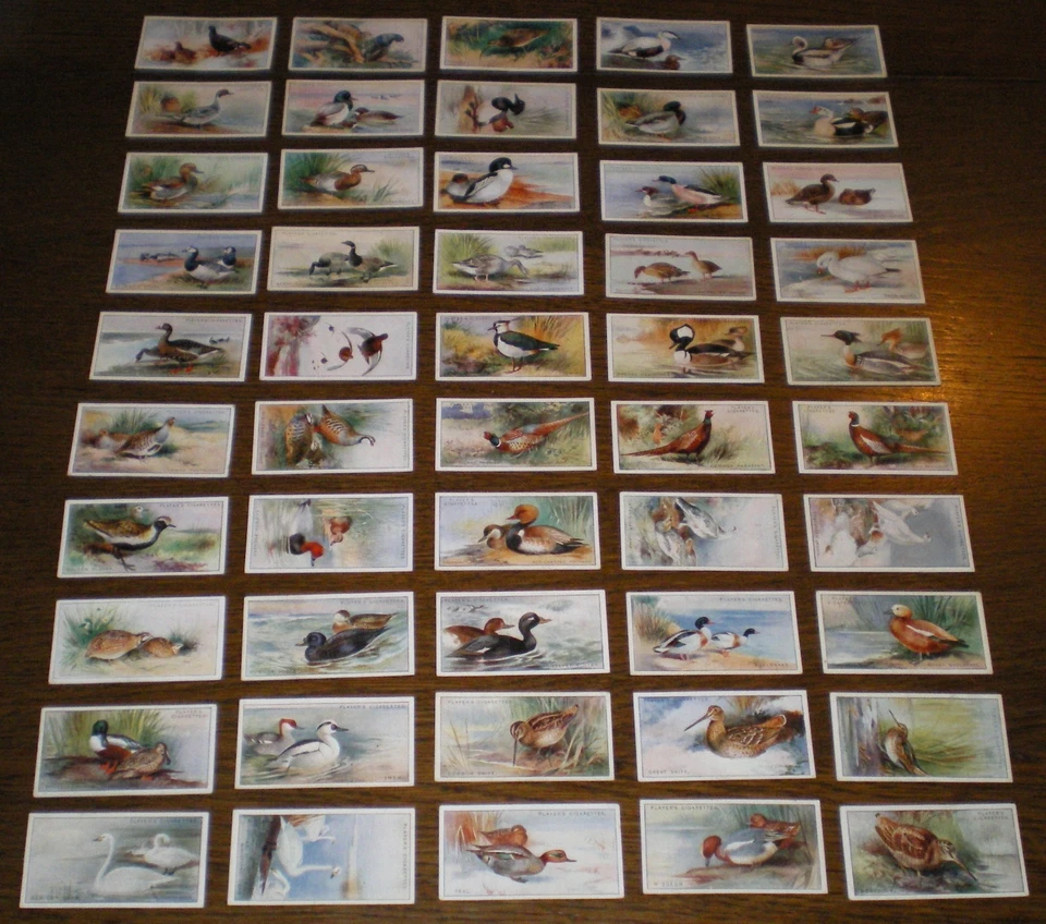 Set Players GAME BIRDS AND WILDFOWL 1927 cigarette cards in VG condition - Image 1 of 1
