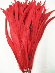 Plumas rojas de cola de gallo 14-16 pulgadas por media onza - Imagen 1 de 2