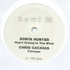 Various / Howl 13 / Vinyl / Alternative/Indie / Howl / Germany - Imagen 1 de 3