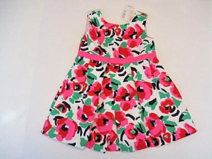 Vestido CHILDREN'S PLACE 2T Moderno Floral Rosa Verde Solero Forrado NUEVO CON ETIQUETAS CALIDAD - Imagen 1 de 9