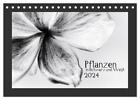 Pflanzen in Schwarz und Weiß (Tischkalender 2024 DIN A5 quer), CALVENDO...
