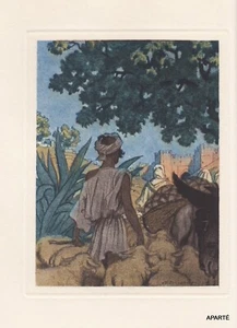 THARAUD FEZ ou les bourgeois de l' Islam BRISSAUD BYBLIS 1933 - Imagen 1 de 2