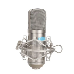 Alctron MC001 Professional Microphone Condenser Mic for Karaoke Games Recording - Photo 1/5