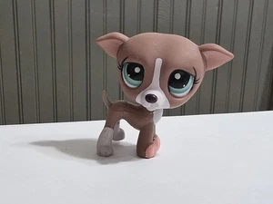 Authentic Littlest Pet Shop LPS Greyhound #1585 Mauve Pink Teal Blue Eyes - Picture 1 of 4