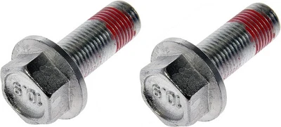 Parafusos de suporte de pinça de freio - Imagem 1 de 2