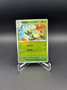 NM Floragato 0203/08 Gem Horizons Pack Volume 1 Sparkle Holo Near Mint 2025 - Picture 1 of 2