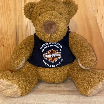 Oso de peluche Harley Davidson 2004 peluche 10" sentado animal de peluche Myrtle Beach SC Foto 1 de 4