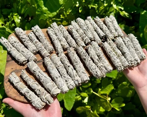 Thin White Sage Smudge Sticks: 1, 3, 5, 10, 20 or 50 (Handy Travel Size Stick) - Picture 1 of 17