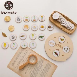 Animal & Plant Life Cycle Cognition Wooden Board Infant Toy Early Educational - Picture 1 of 26