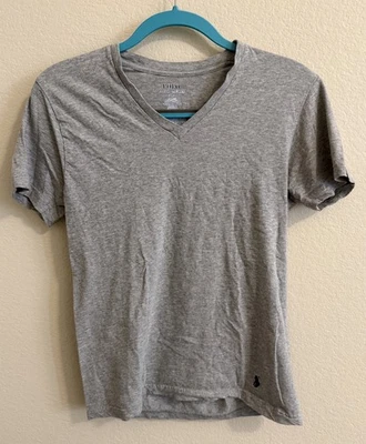 Ralph Lauren Classic Fit Women’s V-Neck Gray T-Shirt Size Small Polo Pony Logo - Image 1 of 4